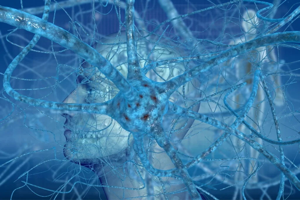 Brain Nerve cells with the human brain. 