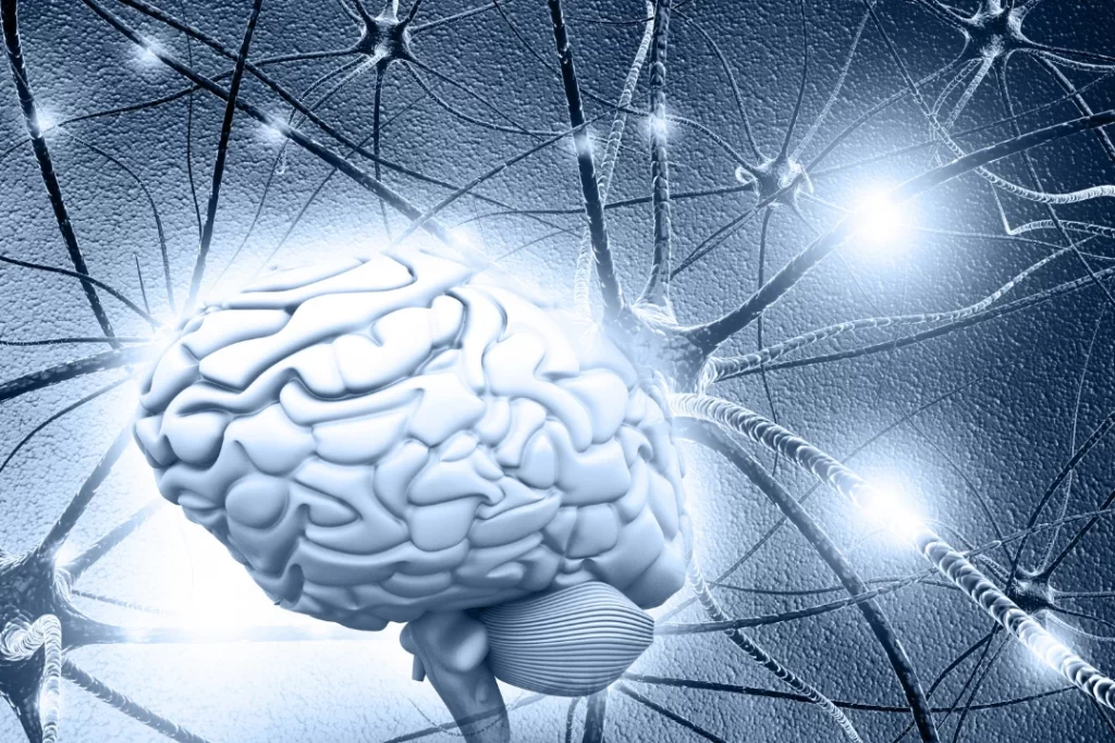human brain with brain nerve cells
