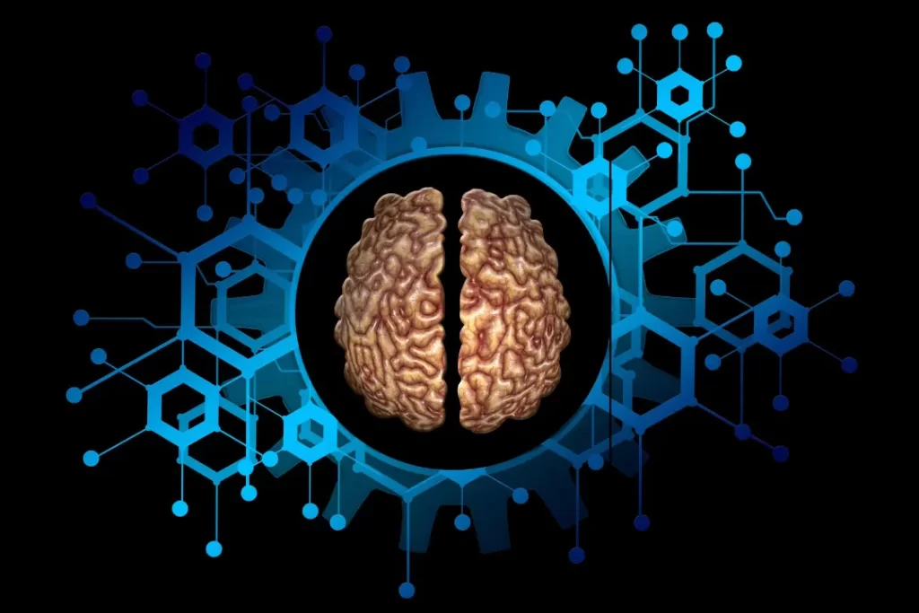 human brain enhancement model with 3d graphics
