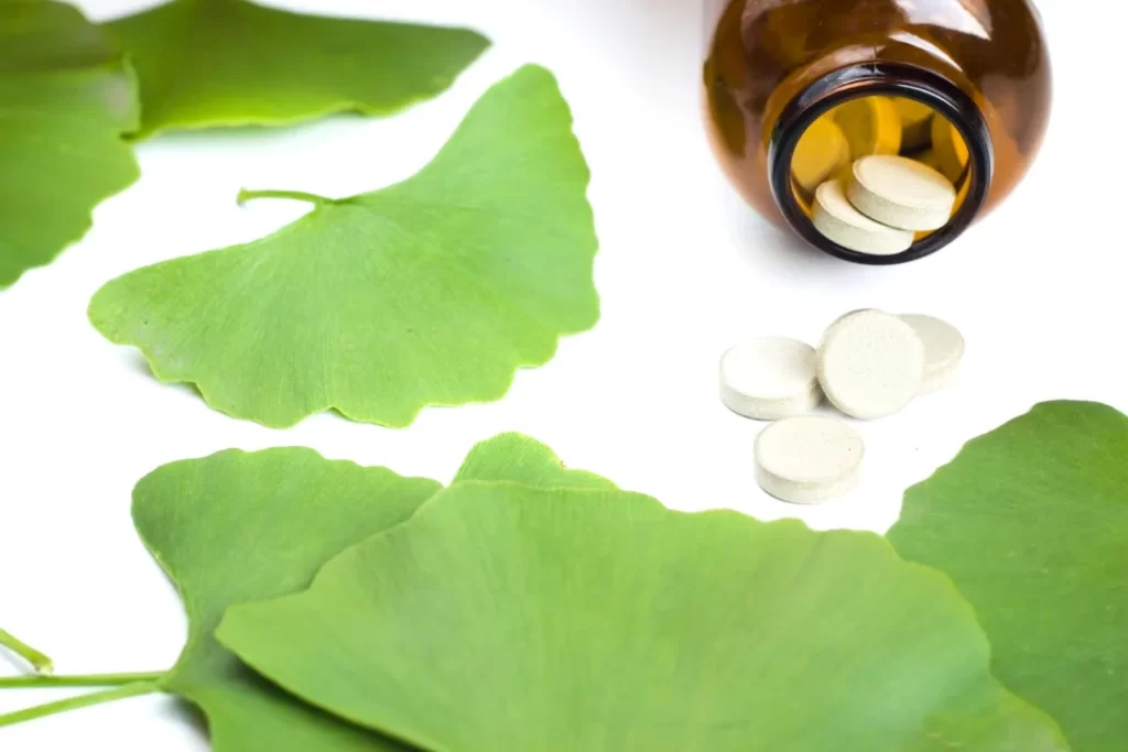 Ginkgo biloba supplements with its green leaves Neurotransmitter Balance