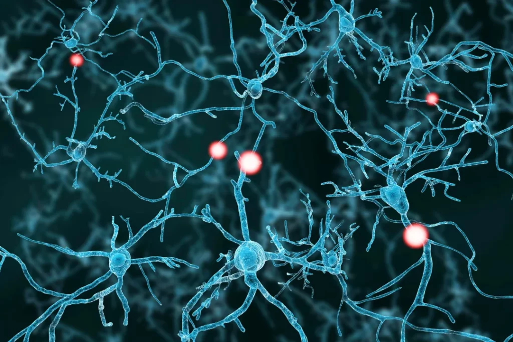 human mind neuronal synapse