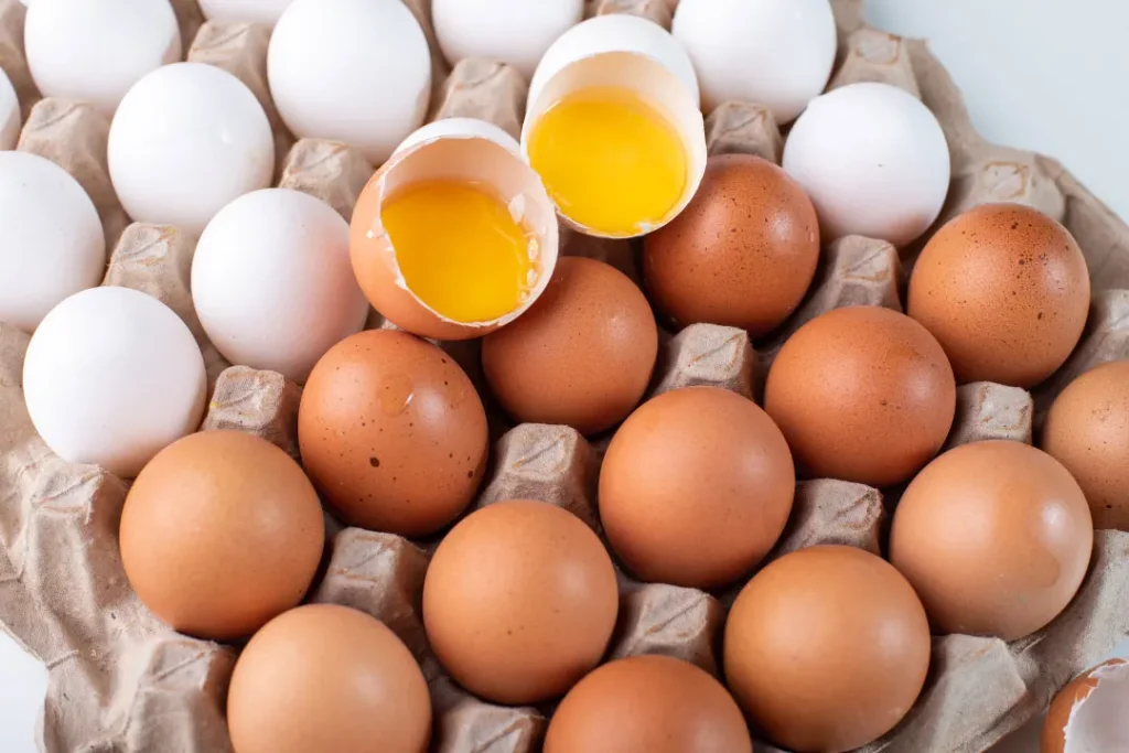Eggs are rich in protein. 