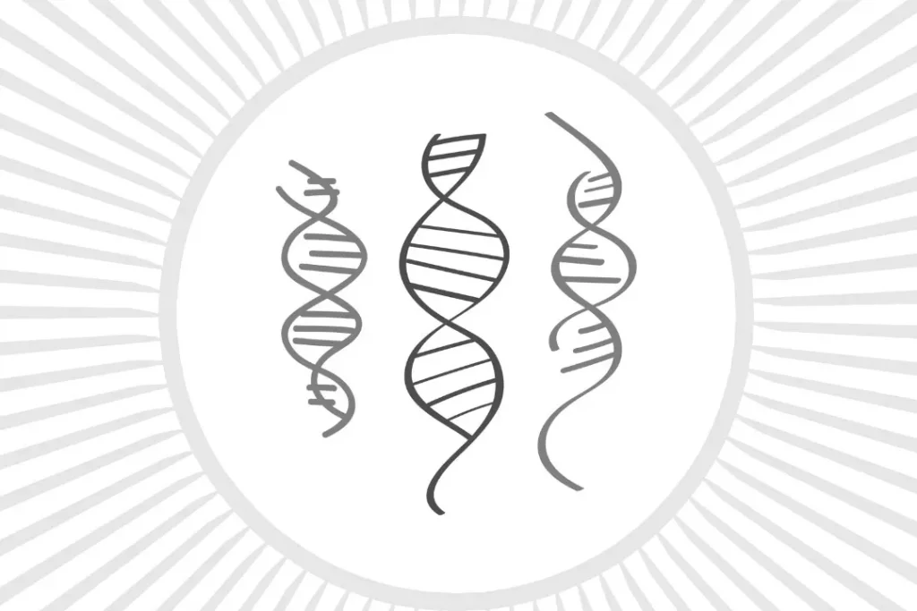 Structure of DNA. 