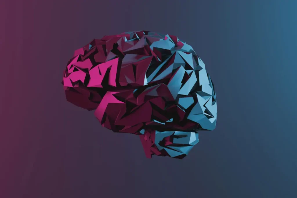 3d model of the human brain