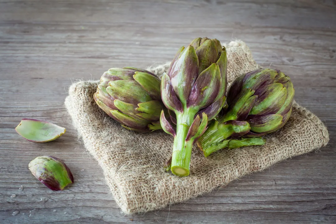 Artichoke Leaf Benefits, Dosage, Side Effects, Drug Interactions, and