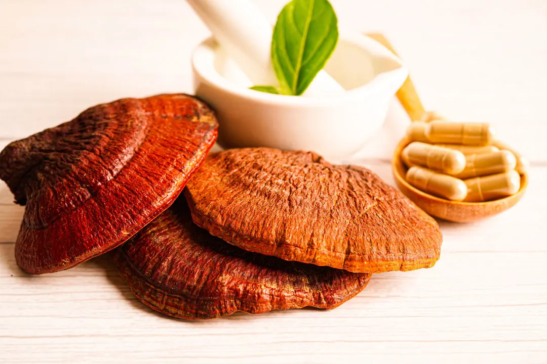 The Best Mushroom Supplements for Memory 5 Top Brands Reviewed