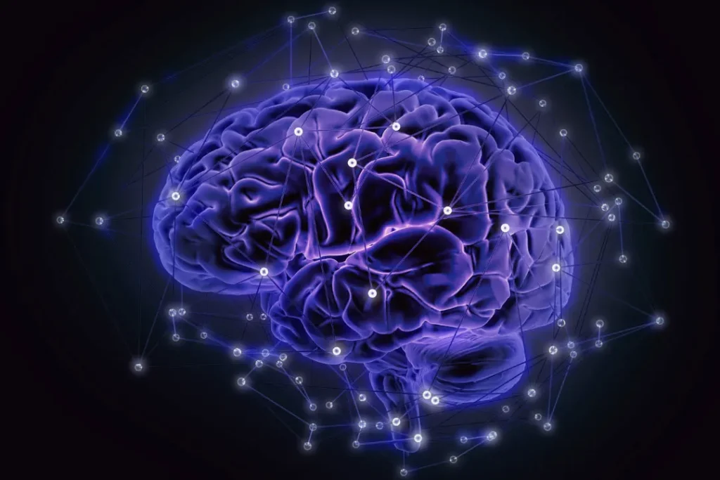 computer artwork of a human brain
types of brain waves