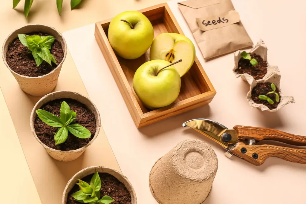 peat pots and apple