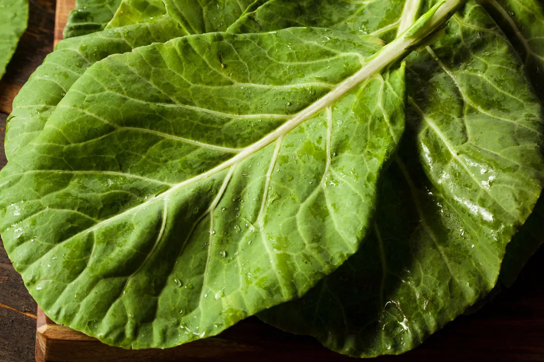 Collard Greens Benefits, Portioning, Side Effects, Drug Interactions