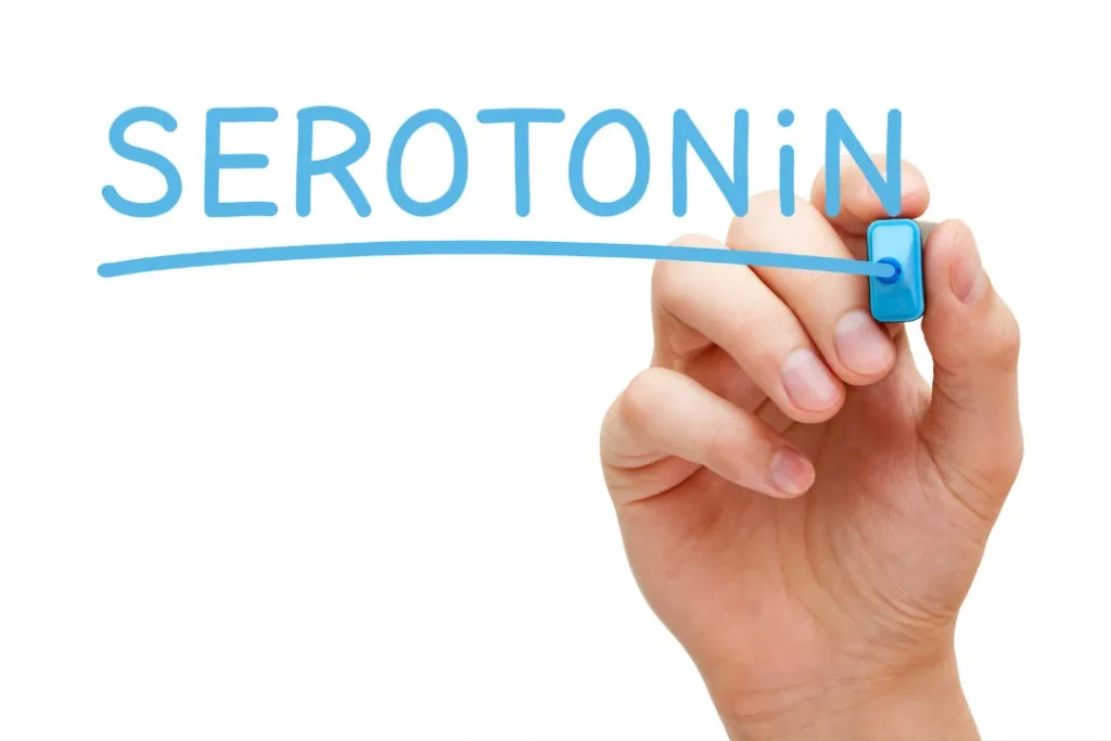 Serotonin promotes calmness. 