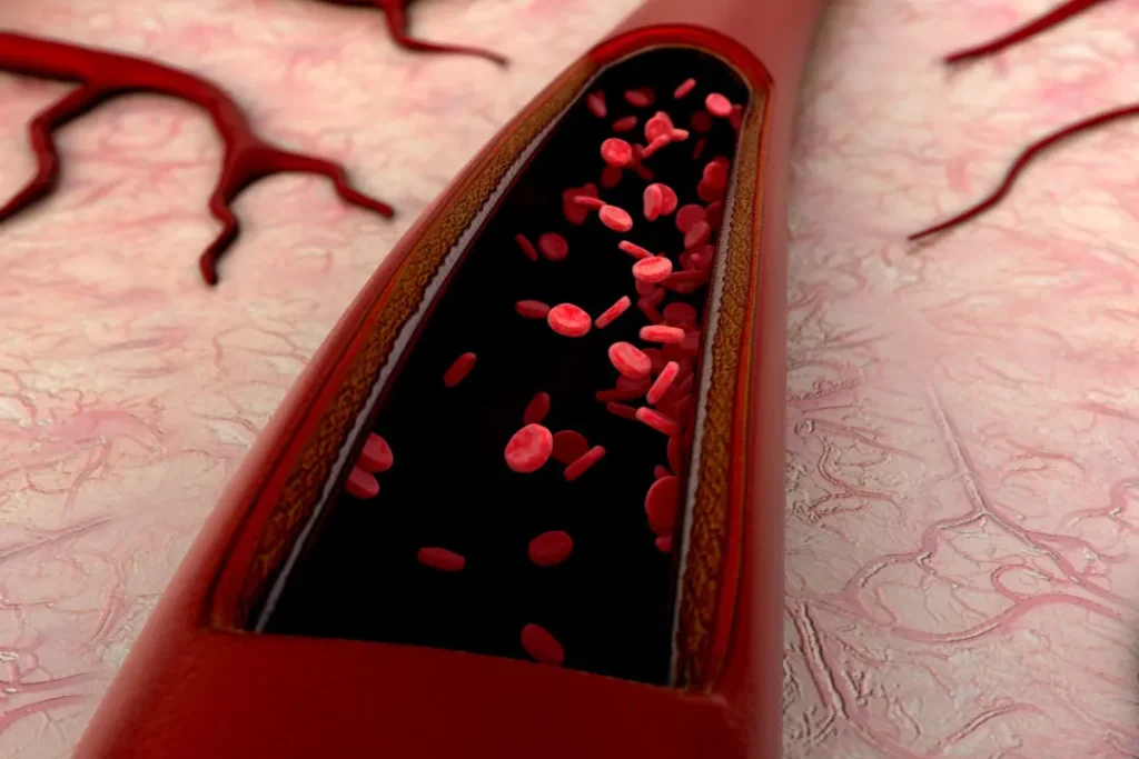 Blood cells inside blood vessels. 