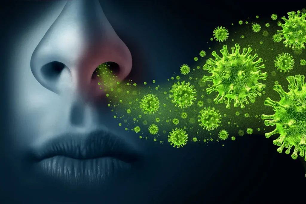 Harmful bacteria entering the body through nose.