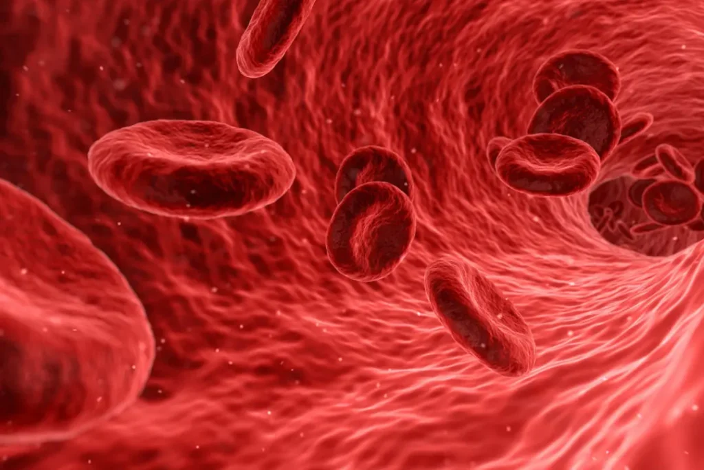 Blood cells. 