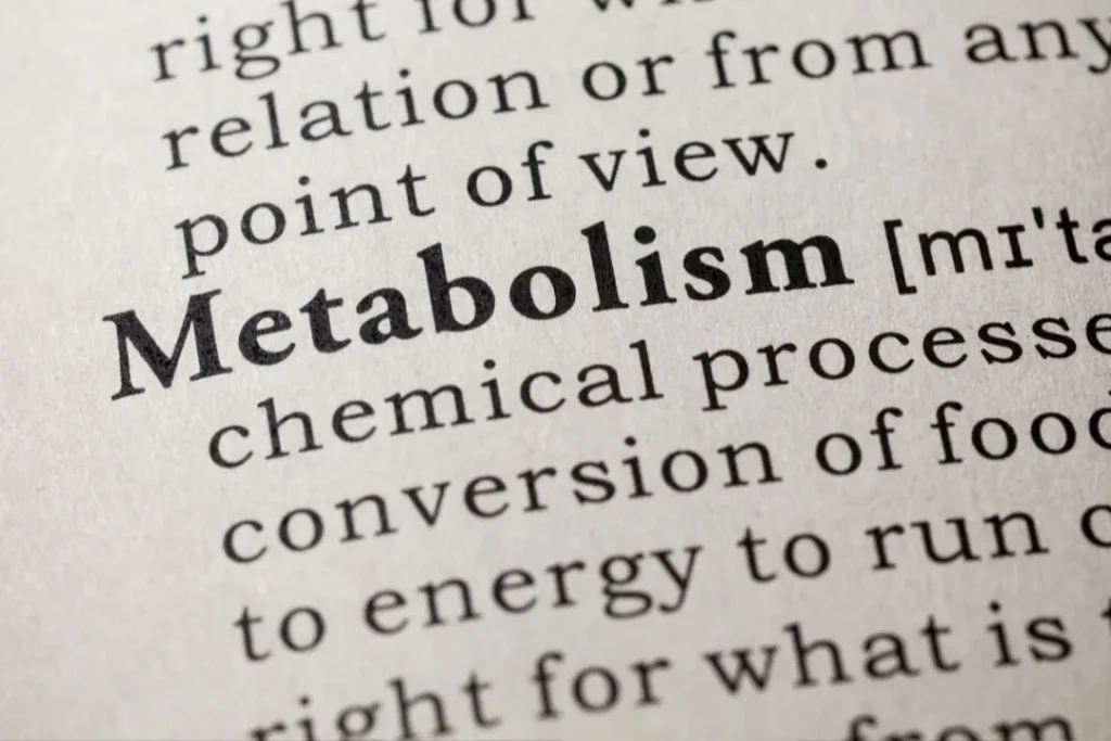 Metabolism. 
