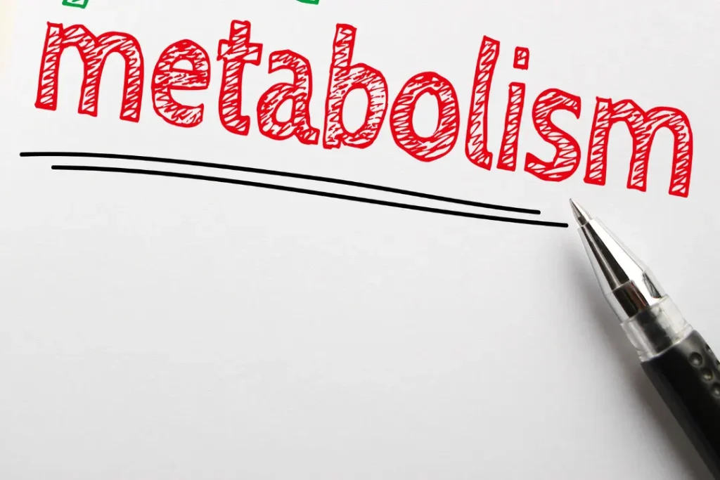 Metabolism is a biological process. 