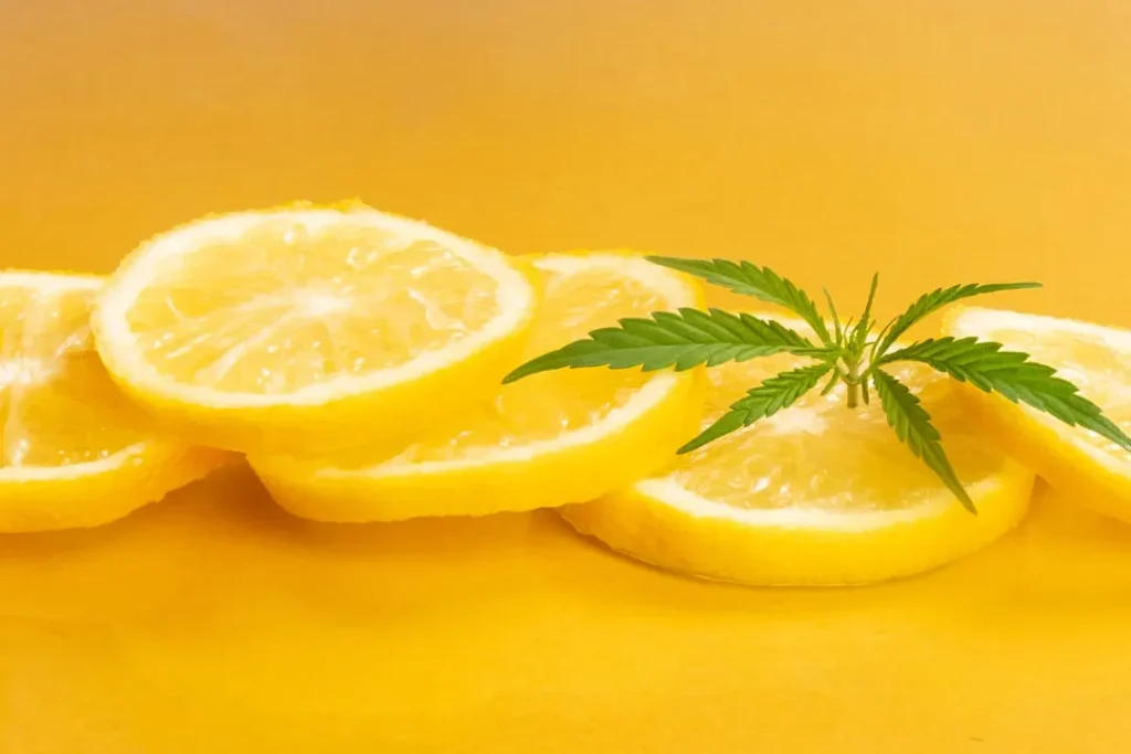 Lemon is used in human diet.   