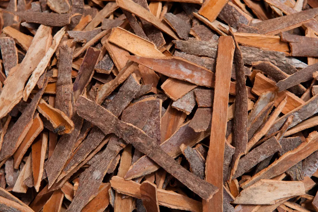 Cinnamon Bark Benefits, Dosage, Side Effects, Drug Interactions, and