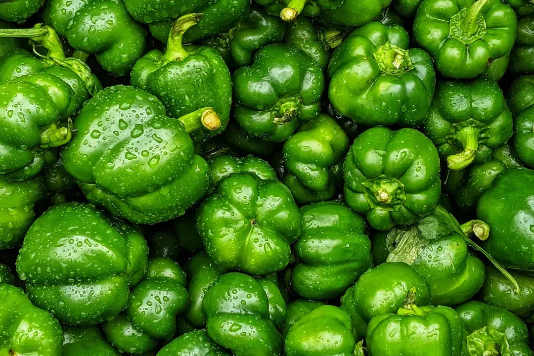 Capsicum Benefits, Dosage, Side Effects, Drug Interactions, and Other