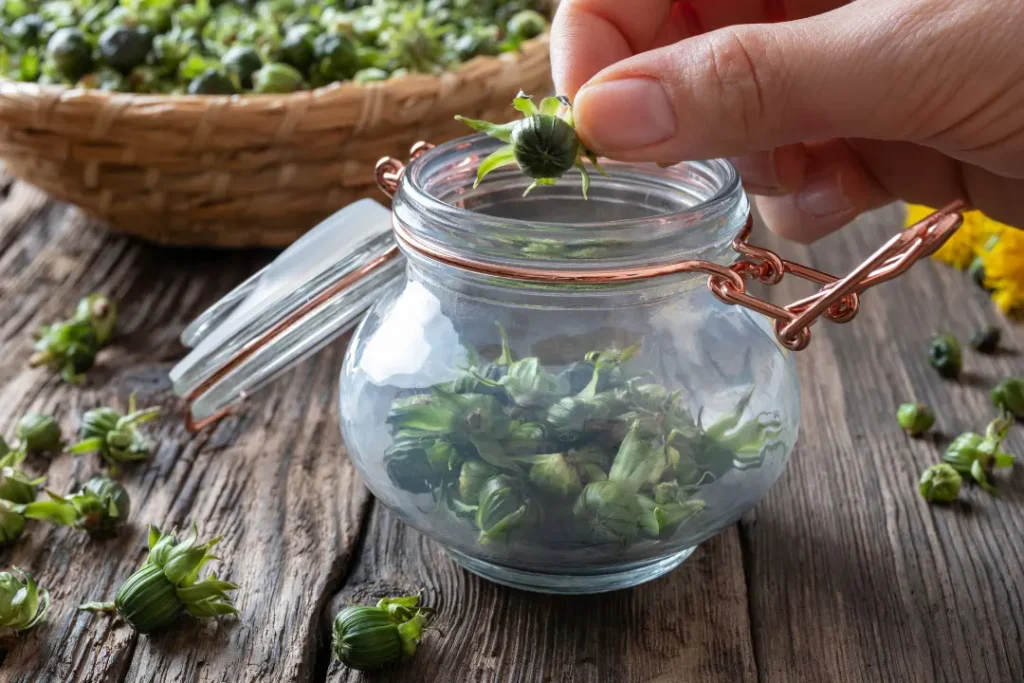Buds of capers are placed in a jar. 