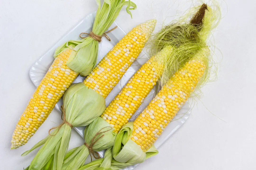 Corn Silk Benefits, Dosage, Side Effects, Drug Interactions, and Other Important Information