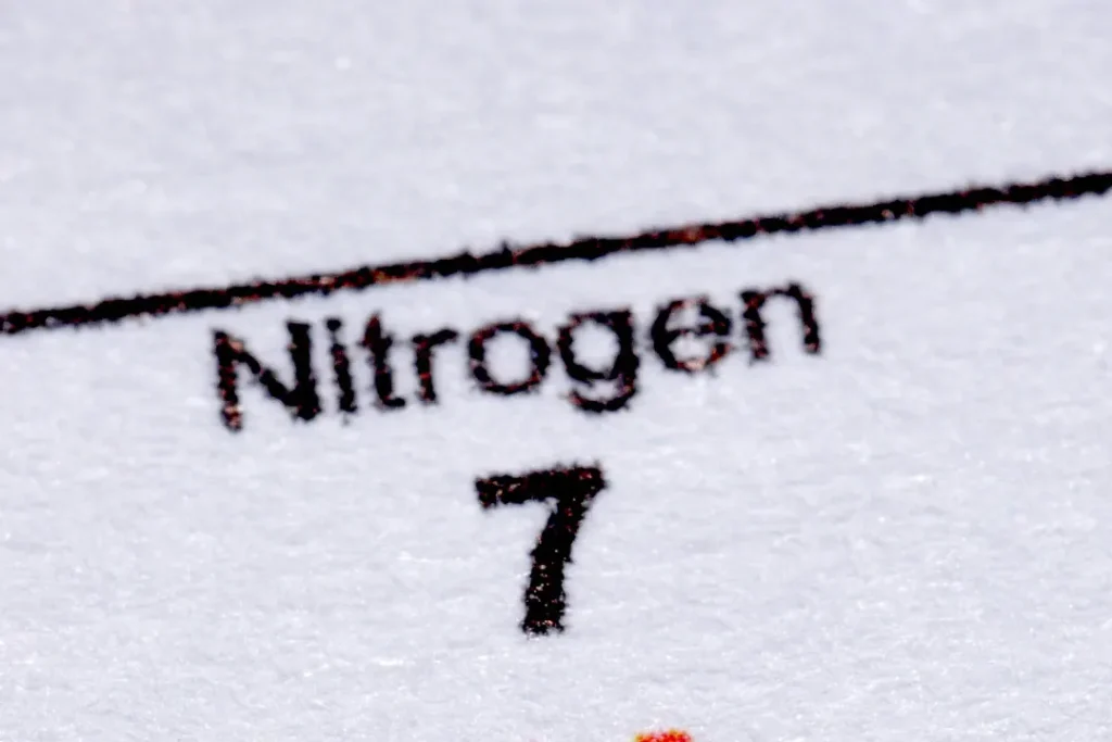 Nitrogen. 