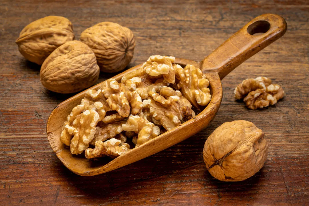 English Walnuts Benefits, Dosage, Side Effects, Drug Interactions, and