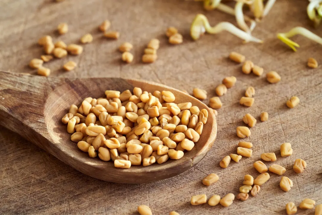 Fenugreek Benefits, Dosage, Side Effects, Drug Interactions, and Other