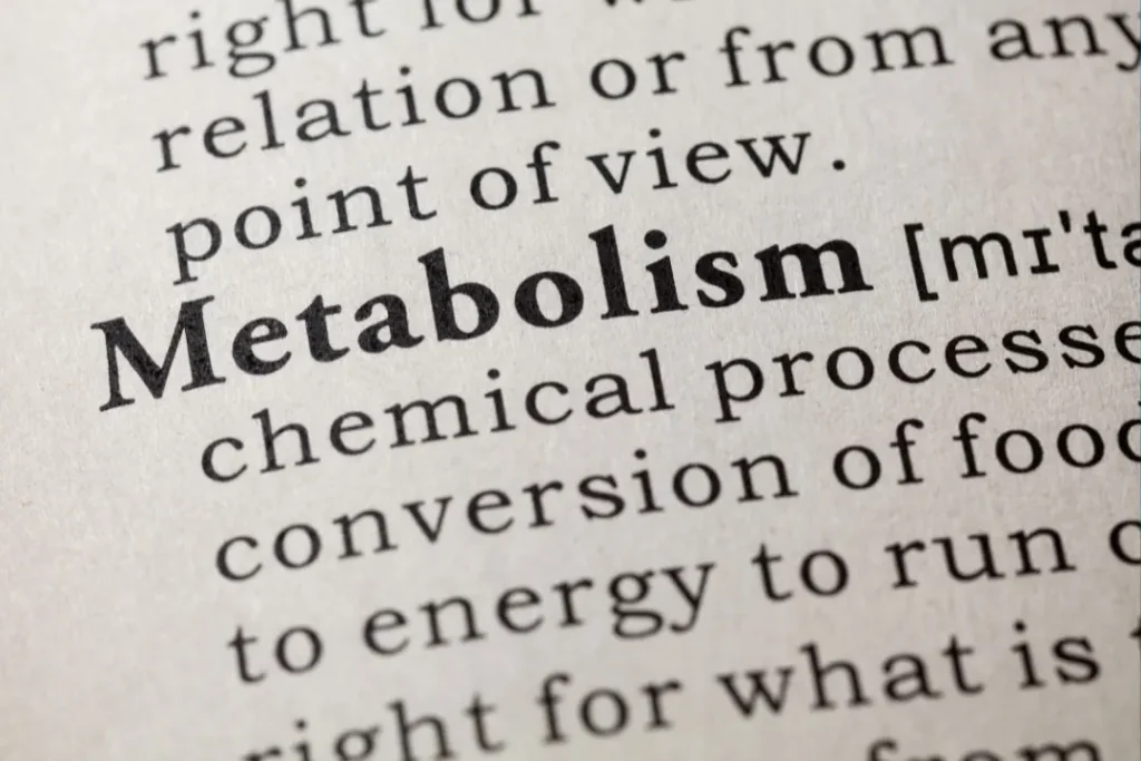 Metabolism. 