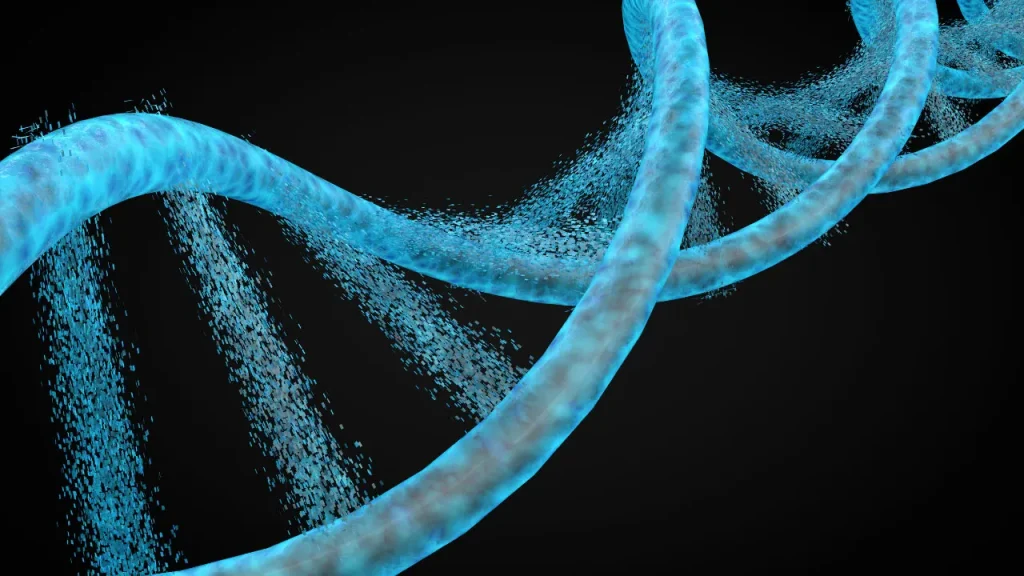 DNA structure. 