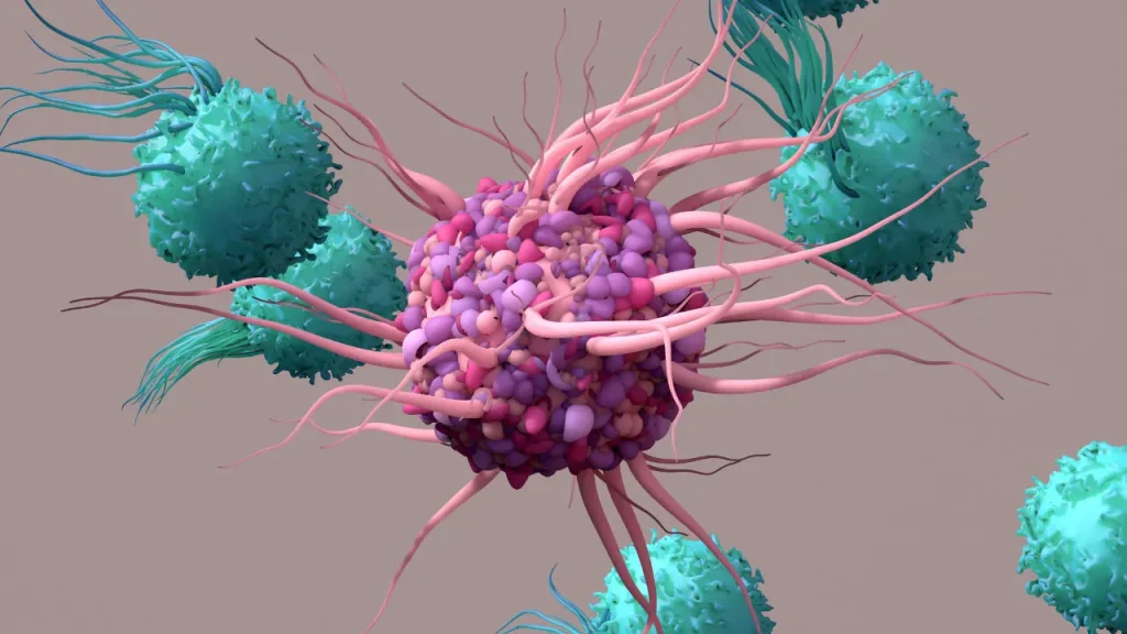 Immune cells.