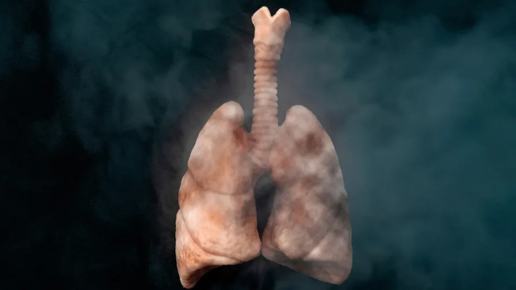 damaged lungs. 