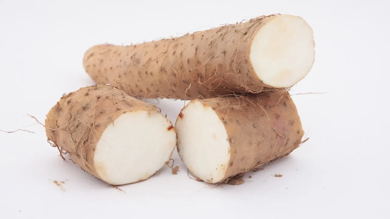 Bitter Yam Benefits, Dosage, Side Effects, Drug Interactions, and