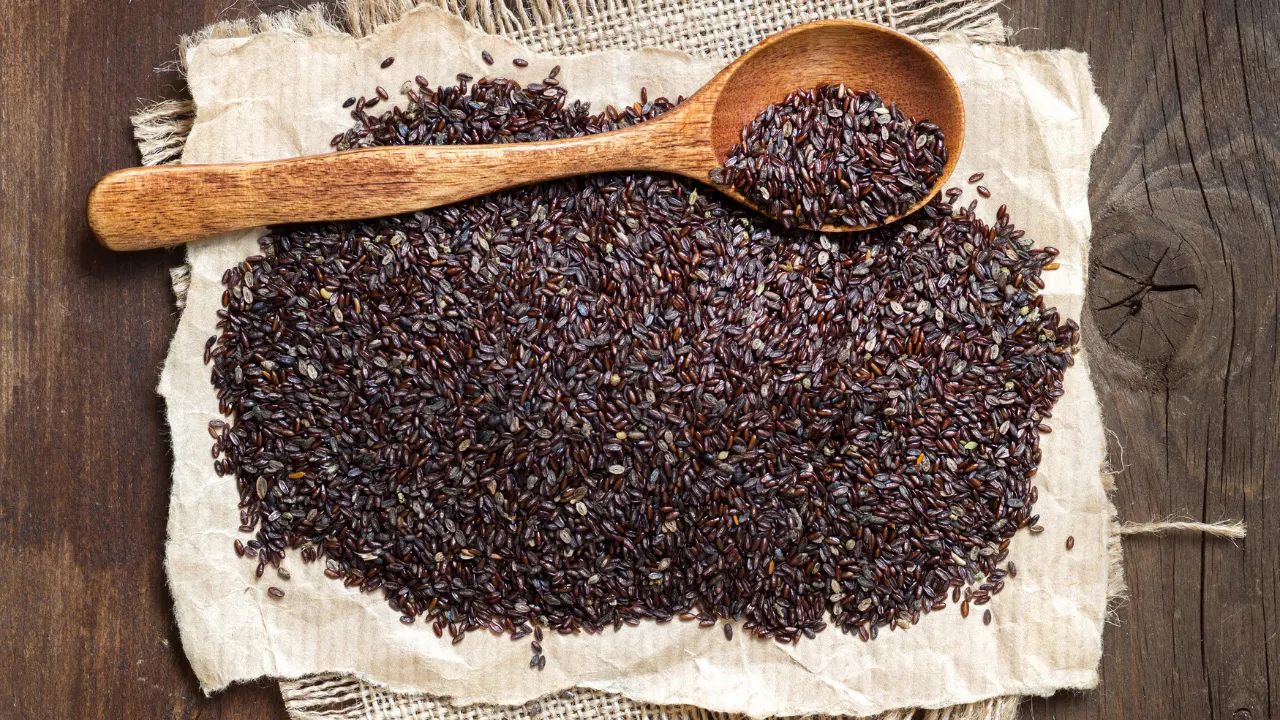 Black Psyllium Benefits, Dosage, Side Effects, Drug Interactions, And Other Important