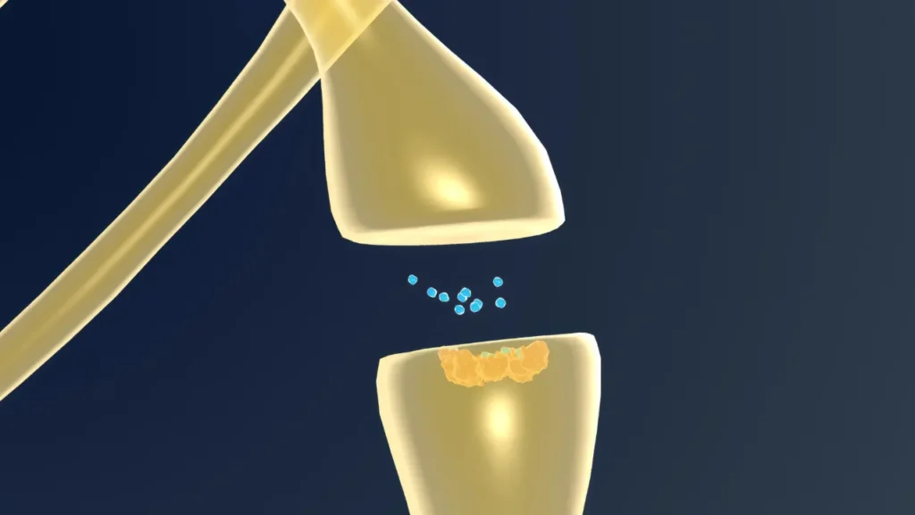 Neurotransmitter system.