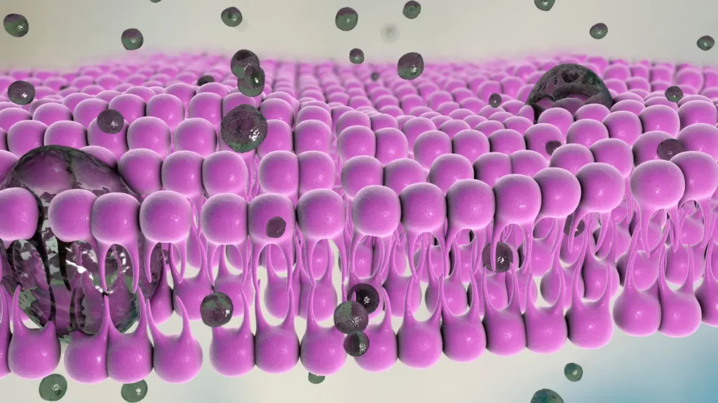 Cell membrane rupture. 
