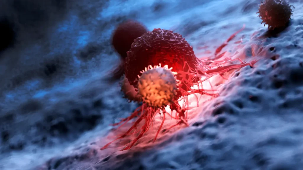 Tumour cell invasion.