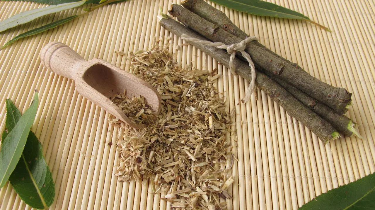 Willow Bark Benefits, Dosage, Side Effects, Drug Interactions, And