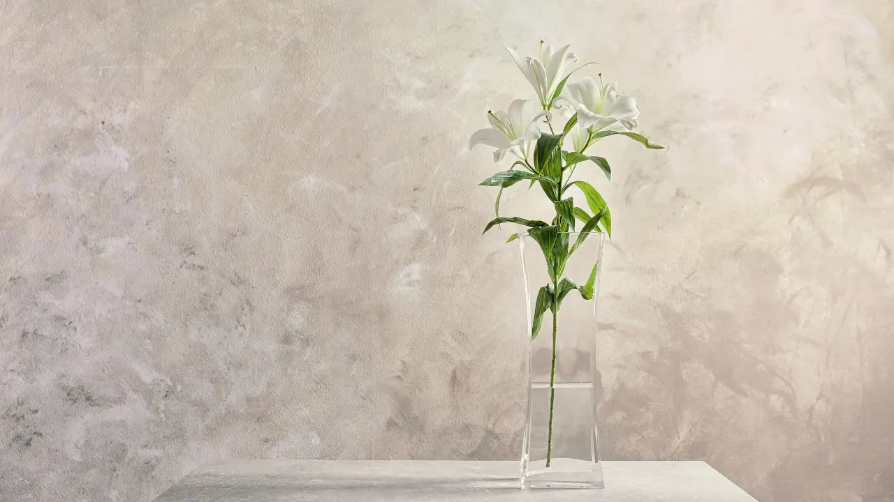 White Lily: Benefits, Dosage, Side Effects, Drug Interactions, And ...