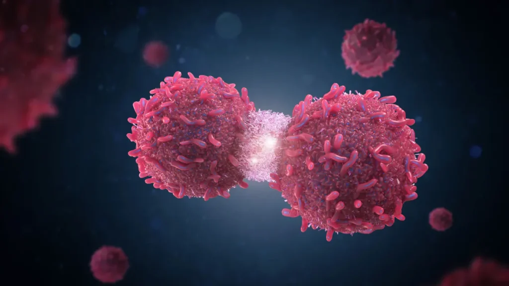 Multiplication of cancer cells.