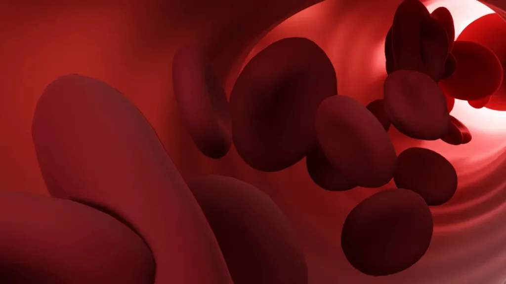 Red Blood Cells. 