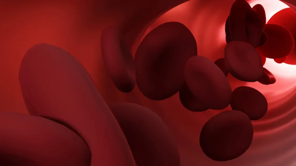 Red Blood Cells.