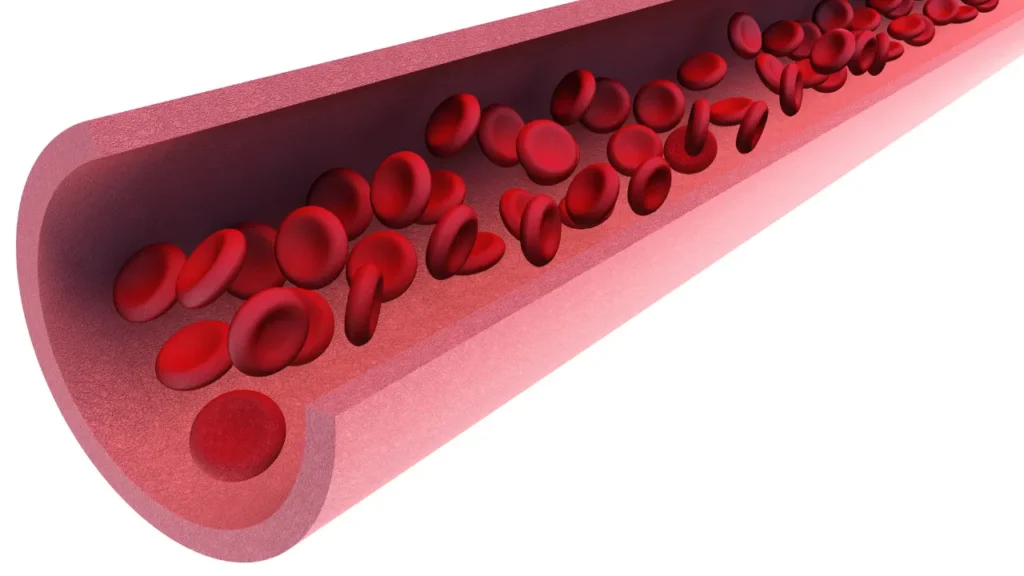 Blood flow inside the blood vessel. 