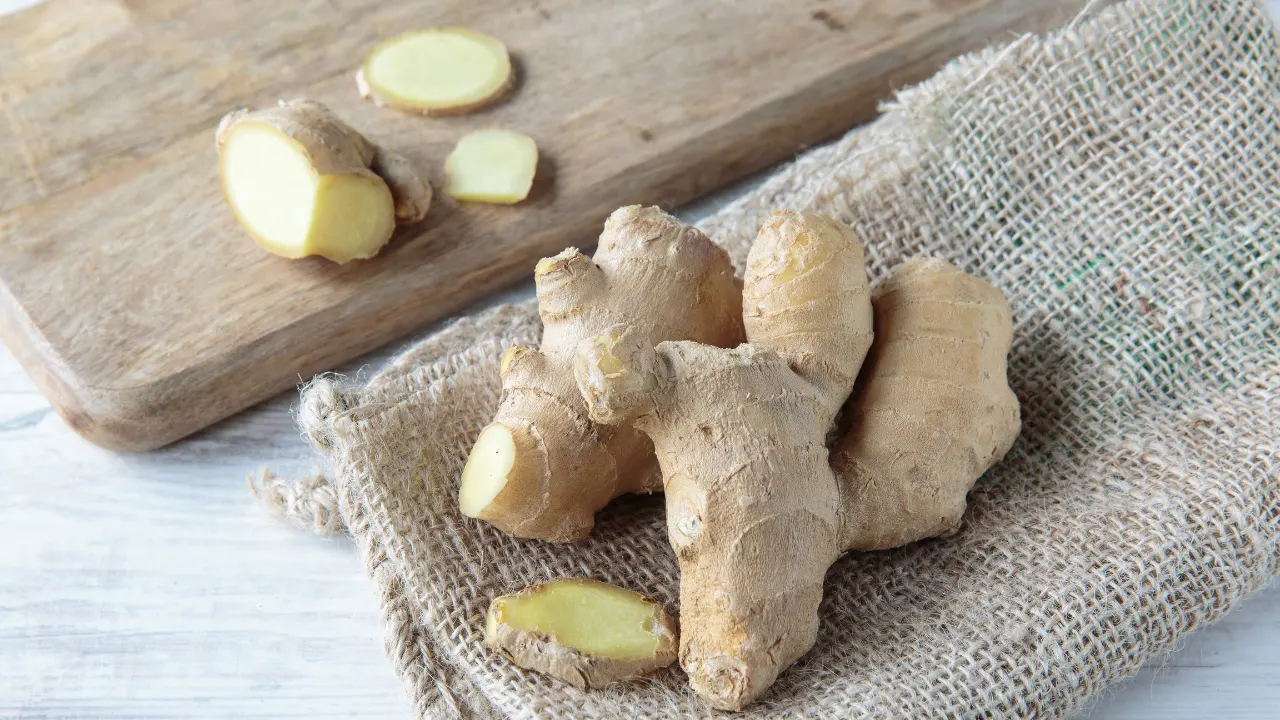 Ginger Benefits, Dosage, Side Effects, Drug Interactions, and Other Important Information