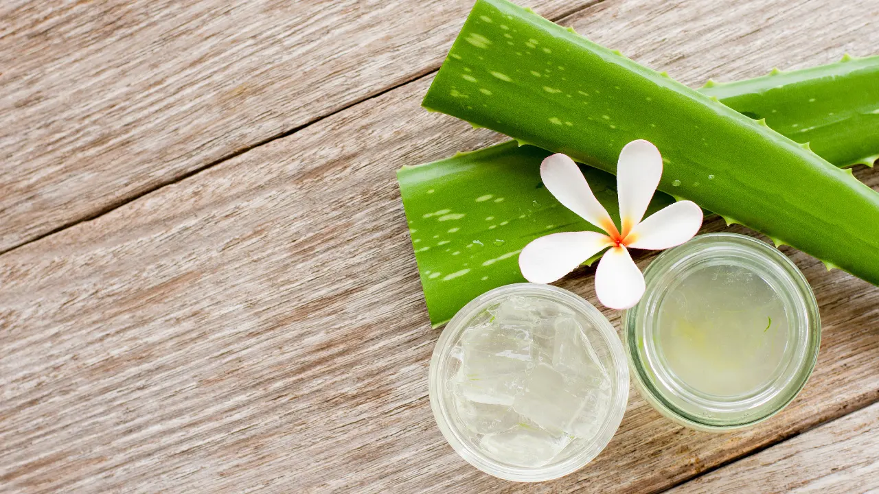 Aloe Vera Benefits, Dosage, Side Effects, Drug Interactions, And Other