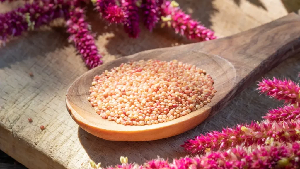 AMARANTH Seeds. 