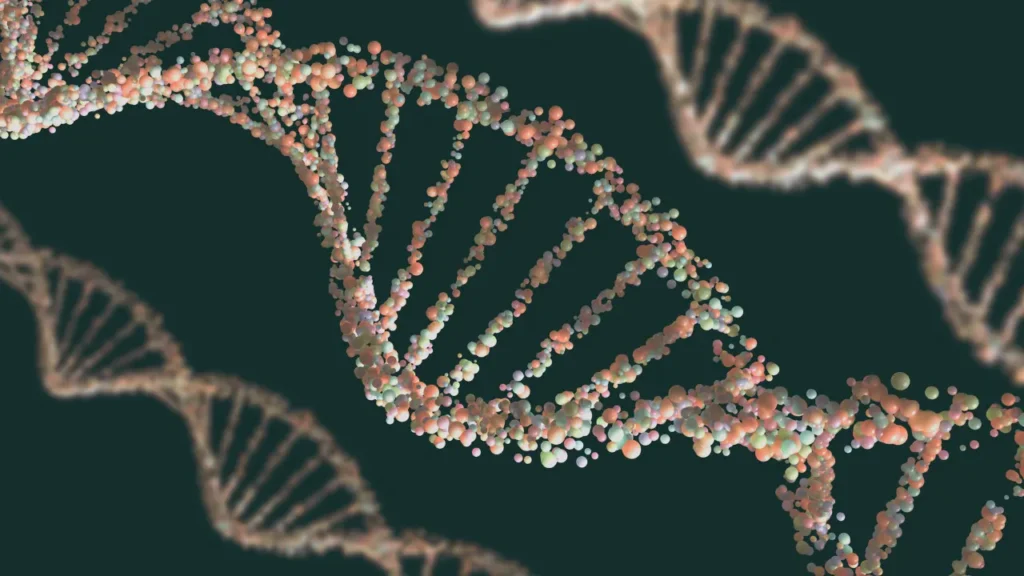 DNA structure. 