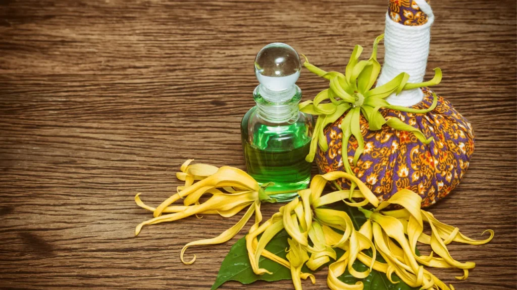 Ylang Ylang Oil helps to reduce stress. 