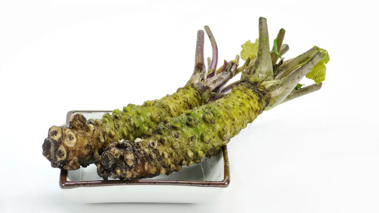 Wasabi Benefits, Dosage, Side Effects, Drug Interactions, And Other Important Information