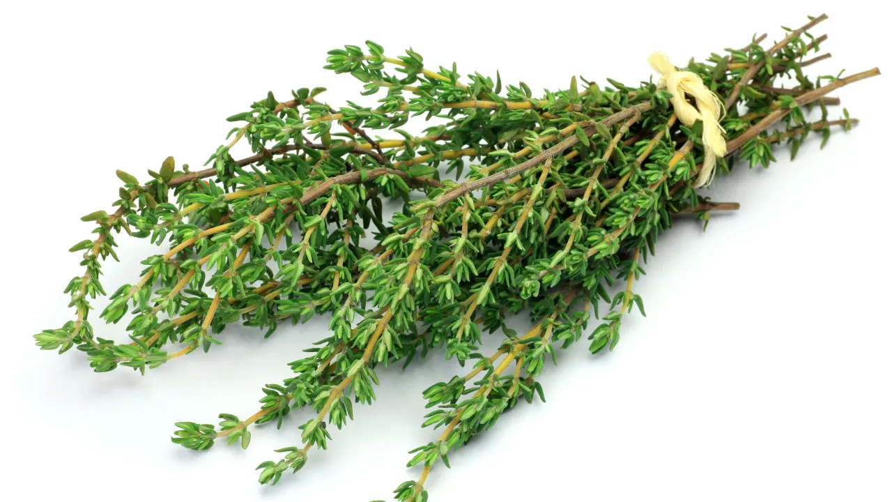 Thyme: Benefits, Dosage, Side Effects, Drug Interactions, And Other ...