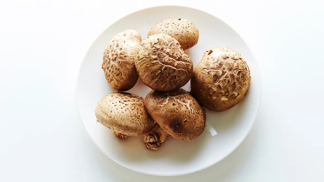 Shiitake Mushroom Benefits, Dosage, Side Effects, Drug Interactions